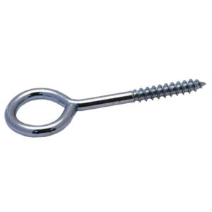 SCHROEFOOG RVS R1 4.00X30X8MM D100