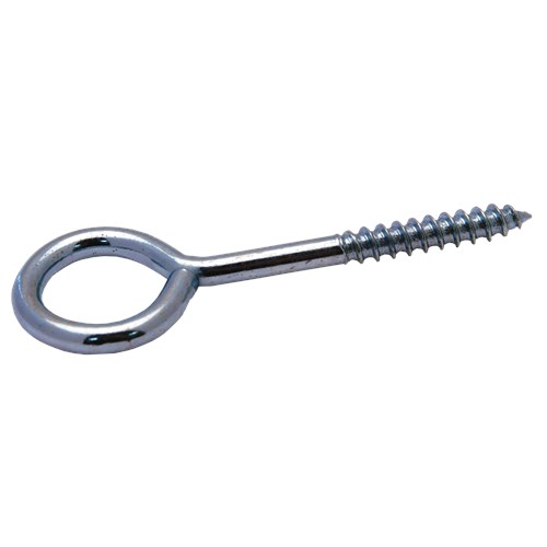 SCHROEFOOG RVS R1 4.00X30X8MM D100