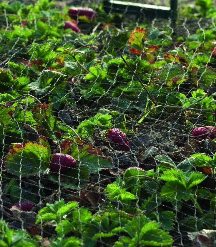 TUINNET  2X5M ZWART 17X17MM