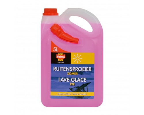RUITENSPROEIERVLOEISTOF ZOMER 5L VALM