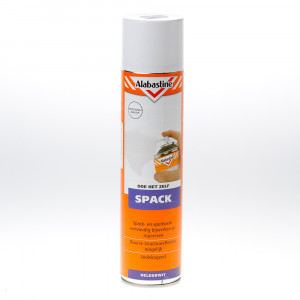SPACKSPRAY 300ML ALABASTINE