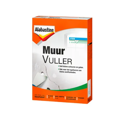MUURVULLER ALABASTINE 1000GR