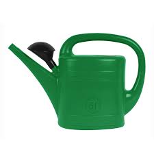 GIETER 5L. GROEN TALEN 643