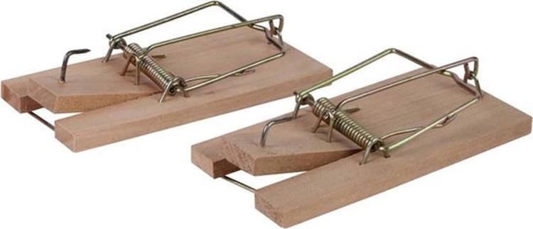 MUIZENVAL 2 STUKS HOUT AP38