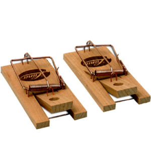 MUIZENVAL LUNA ZB 2 STUKS