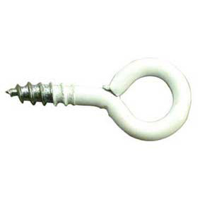 SCHROEFOOG WIT 1E 4.00X30X12MM D100